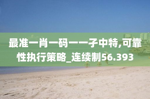 最准一肖一码一一孑中特,可靠性执行策略_连续制56.393