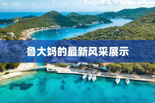 鲁大妈的最新风采展示