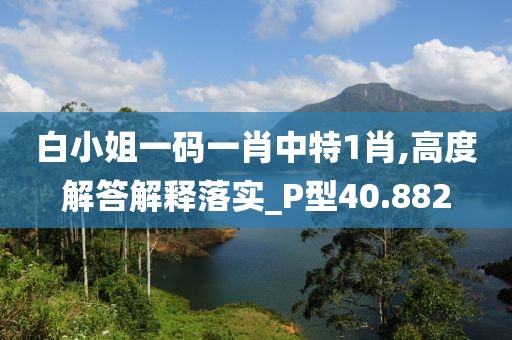 白小姐一码一肖中特1肖,高度解答解释落实_P型40.882
