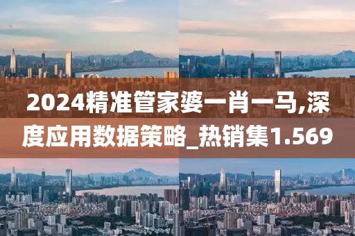 2024精准管家婆一肖一马,深度应用数据策略_热销集1.569