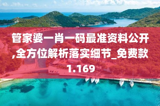 管家婆一肖一码最准资料公开,全方位解析落实细节_免费款1.169