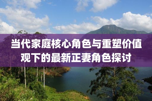 当代家庭核心角色与重塑价值观下的最新正妻角色探讨