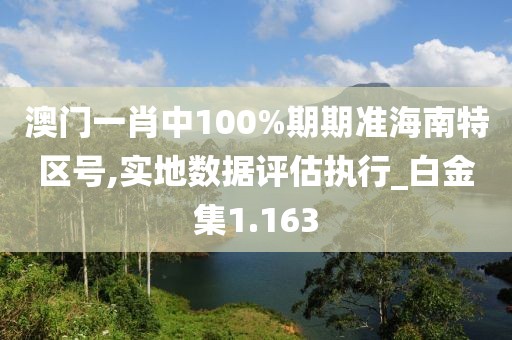 澳门一肖中100%期期准海南特区号,实地数据评估执行_白金集1.163