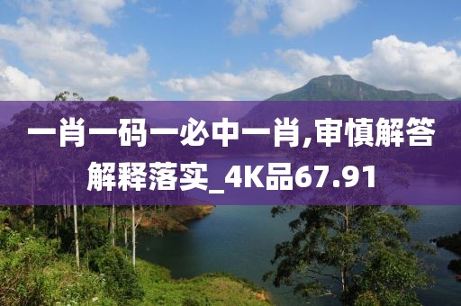 一肖一码一必中一肖,审慎解答解释落实_4K品67.91