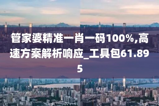 管家婆精准一肖一码100%,高速方案解析响应_工具包61.895