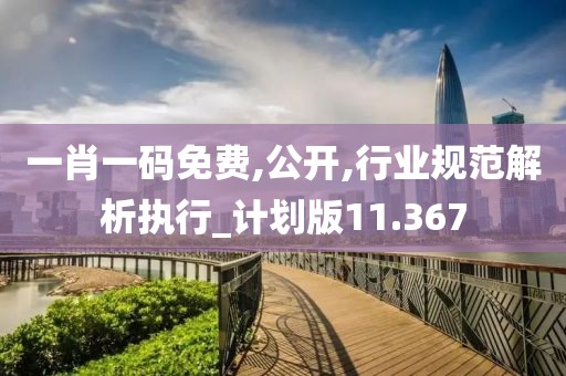 一肖一码免费,公开,行业规范解析执行_计划版11.367