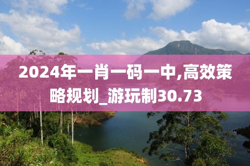 2024年一肖一码一中,高效策略规划_游玩制30.73