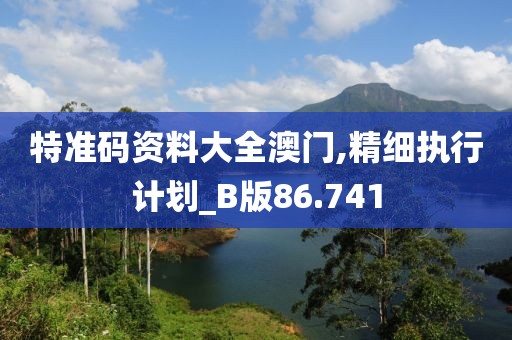 特准码资料大全澳门,精细执行计划_B版86.741