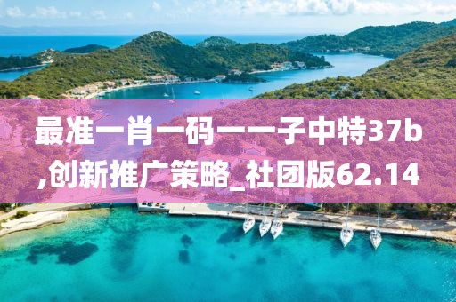 最准一肖一码一一子中特37b,创新推广策略_社团版62.14