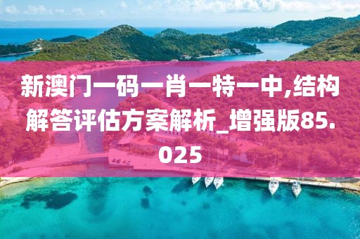 新澳门一码一肖一特一中,结构解答评估方案解析_增强版85.025