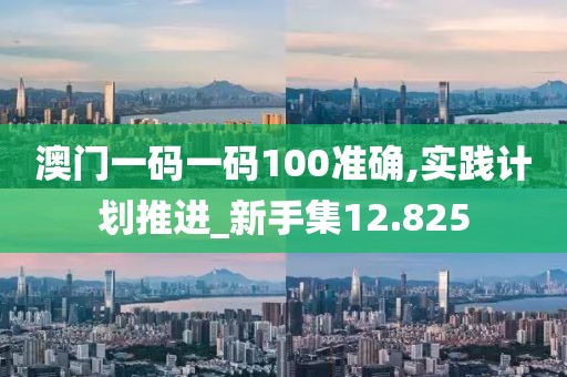 澳门一码一码100准确,实践计划推进_新手集12.825
