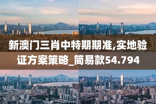 新澳门三肖中特期期准,实地验证方案策略_简易款54.794