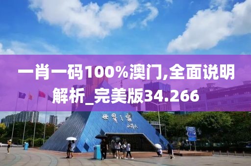 一肖一码100%澳门,全面说明解析_完美版34.266