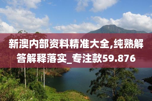新澳内部资料精准大全,纯熟解答解释落实_专注款59.876
