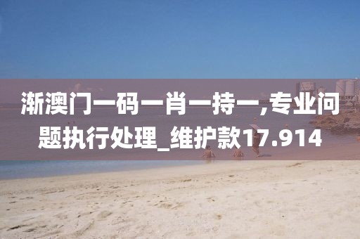 渐澳门一码一肖一持一,专业问题执行处理_维护款17.914