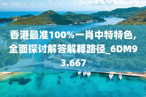 香港最准100%一肖中特特色,全面探讨解答解释路径_6DM93.667