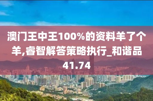 澳门王中王100%的资料羊了个羊,睿智解答策略执行_和谐品41.74