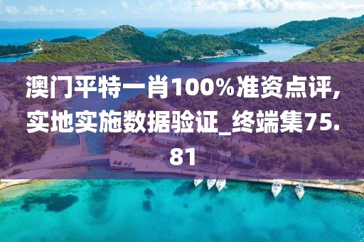 澳门平特一肖100%准资点评,实地实施数据验证_终端集75.81