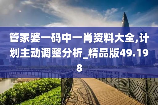 管家婆一码中一肖资料大全,计划主动调整分析_精品版49.198