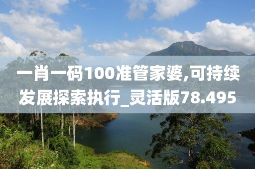 一肖一码100准管家婆,可持续发展探索执行_灵活版78.495