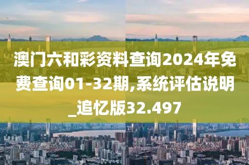 澳门六和彩资料查询2024年免费查询01-32期,系统评估说明_追忆版32.497