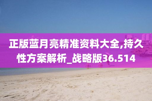 正版蓝月亮精准资料大全,持久性方案解析_战略版36.514