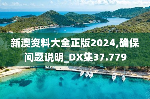 新澳资料大全正版2024,确保问题说明_DX集37.779