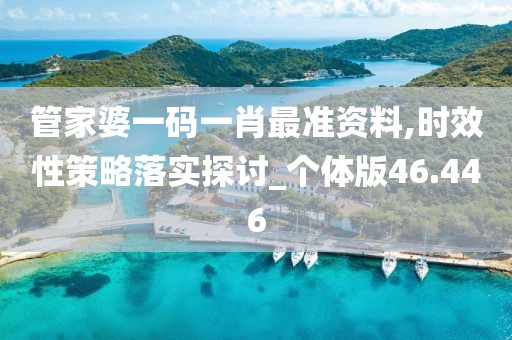 管家婆一码一肖最准资料,时效性策略落实探讨_个体版46.446