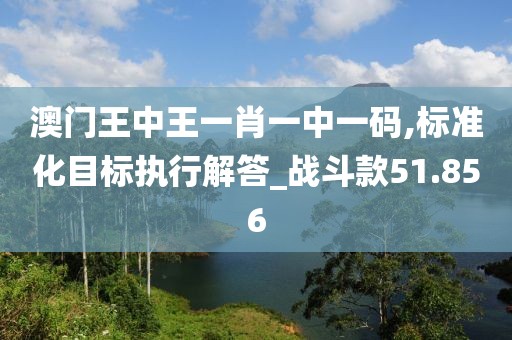 澳门王中王一肖一中一码,标准化目标执行解答_战斗款51.856