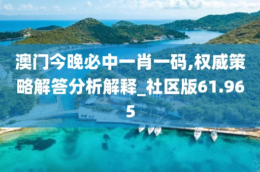 澳门今晚必中一肖一码,权威策略解答分析解释_社区版61.965