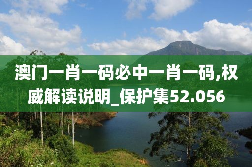 澳门一肖一码必中一肖一码,权威解读说明_保护集52.056