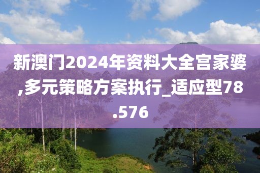新澳门2024年资料大全宫家婆,多元策略方案执行_适应型78.576