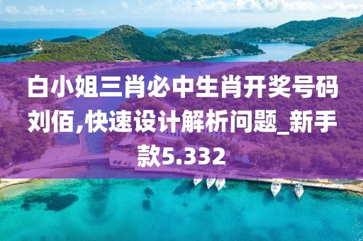 白小姐三肖必中生肖开奖号码刘佰,快速设计解析问题_新手款5.332