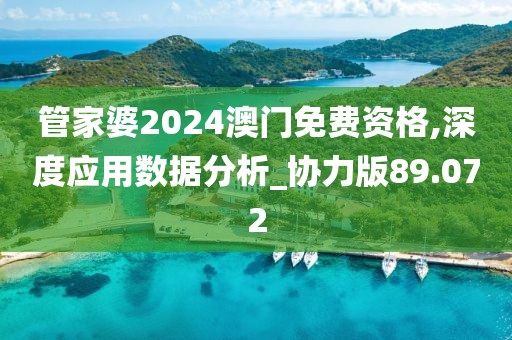 管家婆2024澳门免费资格,深度应用数据分析_协力版89.072