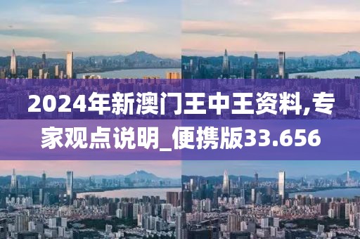 2024年新澳门王中王资料,专家观点说明_便携版33.656