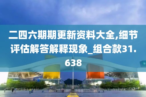 二四六期期更新资料大全,细节评估解答解释现象_组合款31.638