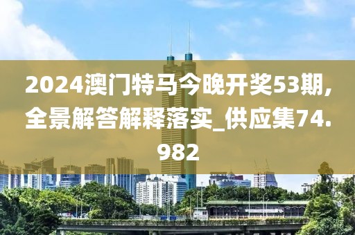 2024澳门特马今晚开奖53期,全景解答解释落实_供应集74.982