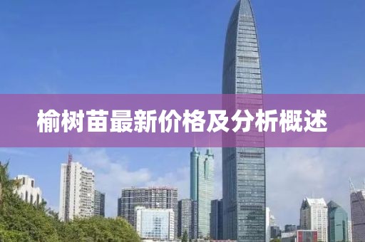 榆树苗最新价格及分析概述