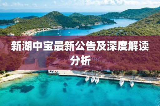 新湖中宝最新公告及深度解读分析