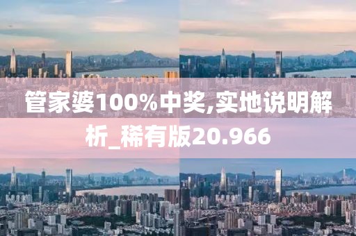 管家婆100%中奖,实地说明解析_稀有版20.966