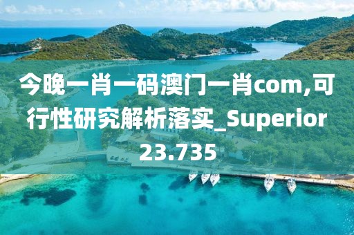 今晚一肖一码澳门一肖com,可行性研究解析落实_Superior23.735