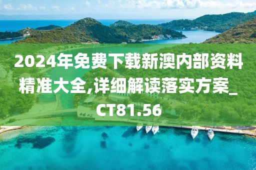2024年免费下载新澳内部资料精准大全,详细解读落实方案_CT81.56