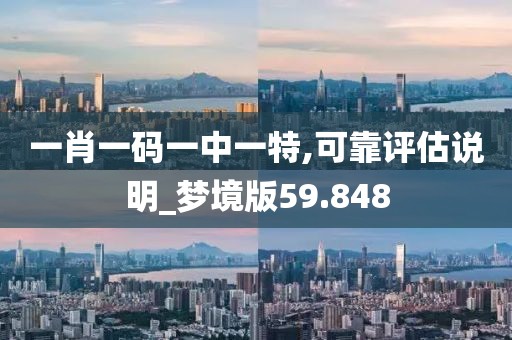 一肖一码一中一特,可靠评估说明_梦境版59.848