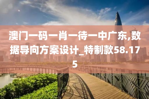 澳门一码一肖一待一中广东,数据导向方案设计_特制款58.175