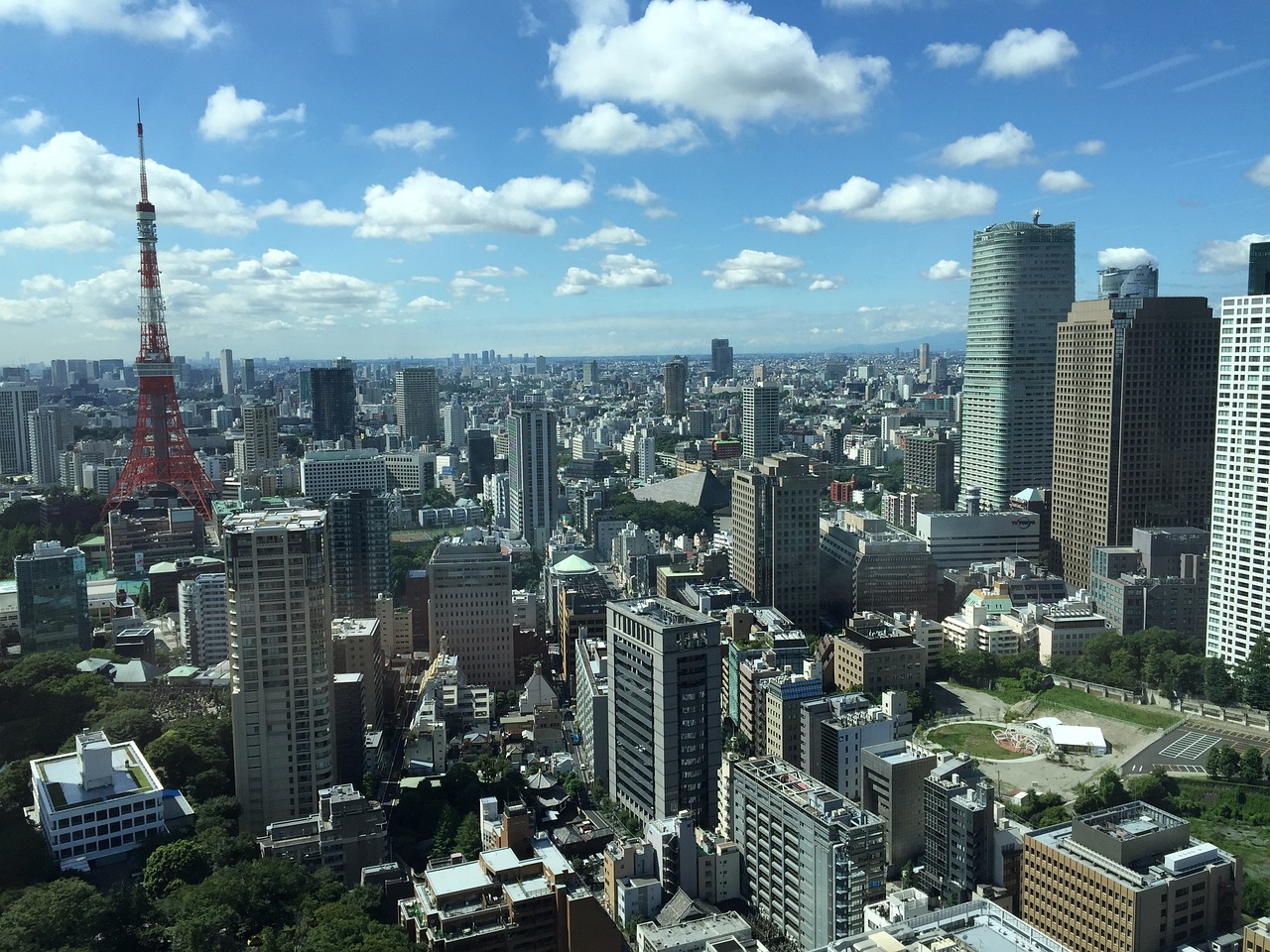 福建最新猪价动态报告及分析