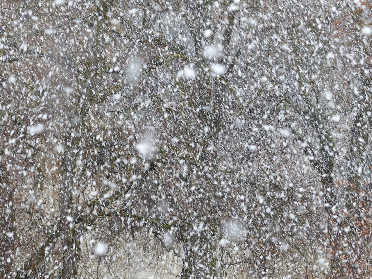 暴雪最新动态，游戏内外消息汇总与未来展望