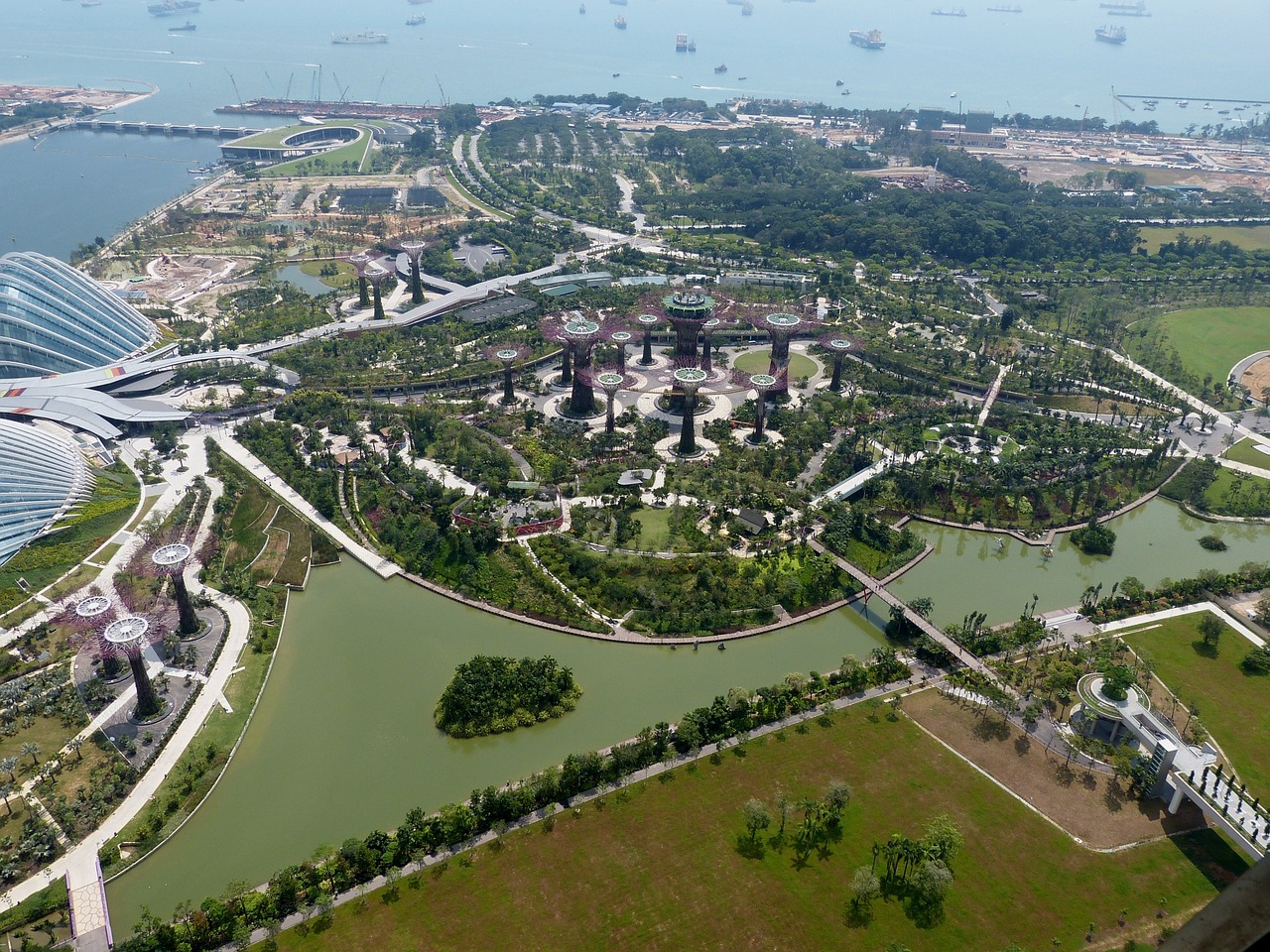 新场招聘动态与人才市场分析，最新招聘信息及趋势解析