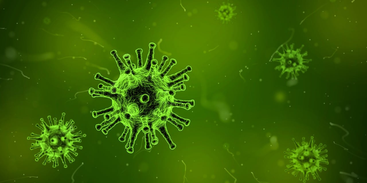 死亡细胞最新汉化版深度解析与体验分享