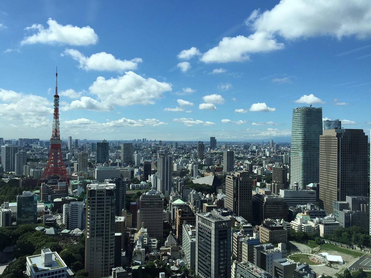 萧县公园世家最新房价分析与展望，未来趋势及购房建议