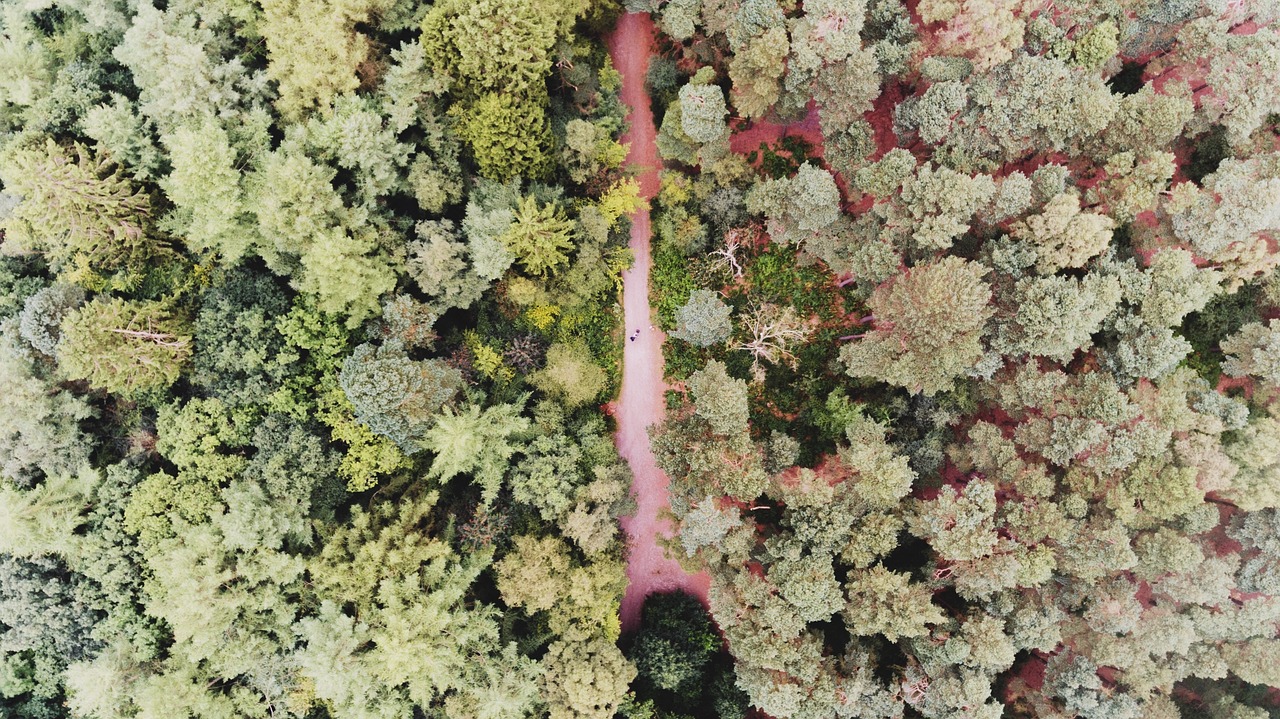 帝少霸宠小娇妻最新动态与深度解读揭秘